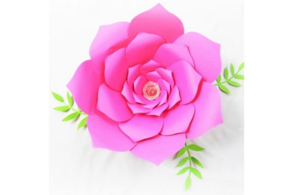 Priscilla 3D SVG & Paper Flowers Review