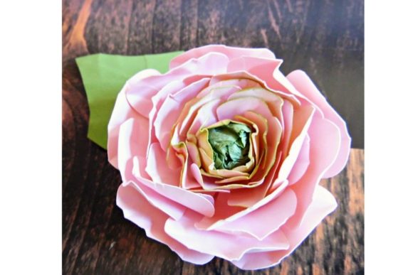 Review: 3D SVG Ranunculus Paper Flowers for Branding
